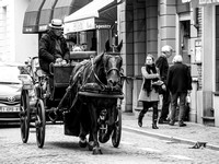 Horse & Carriage, Bruges