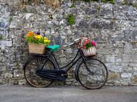 Bike & Flower, Co. Roscommon