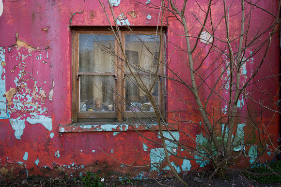 Pink Wall, Ardmore, Co. Waterford