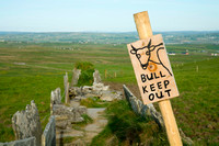 Bull Keep Out Co. Clare