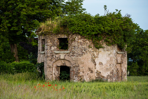 Old Ruin, Co. Kildare