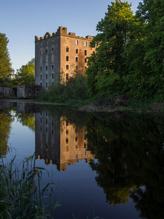 Castle, Co. Carlow