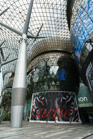 Ion Orchard