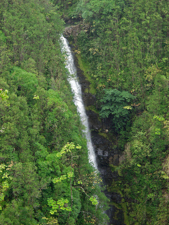 Akaka Falls, The Big Island