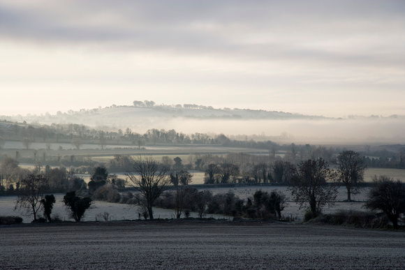 Winter Morning, Co. Kildare
