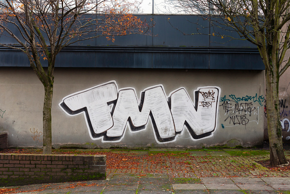 TMN, Belfast