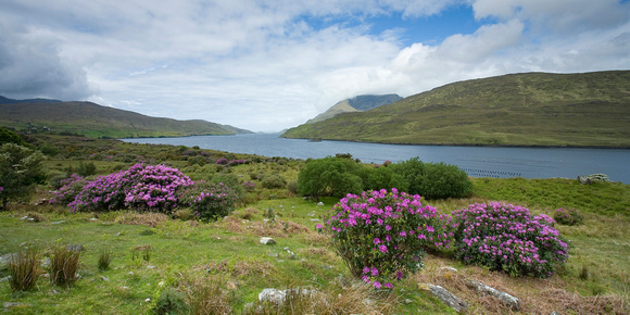 Killary Harbour, Co. Galway