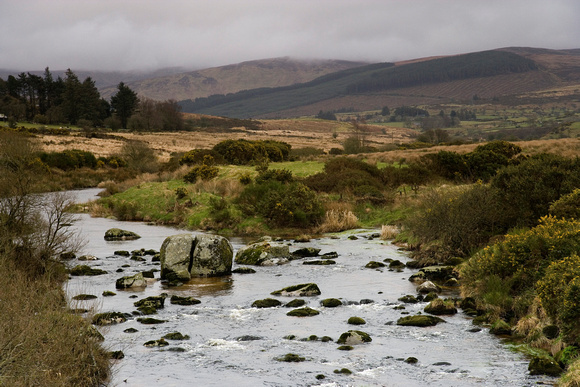 King's River, Co. Wicklow