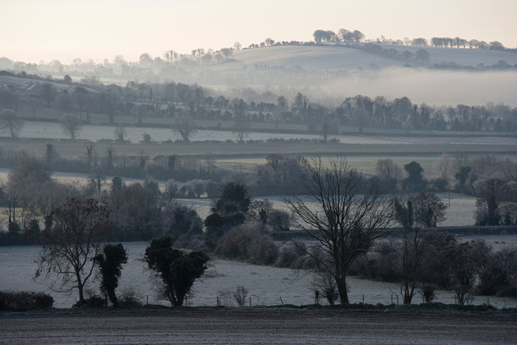 Winter Morning, Co. Kildare