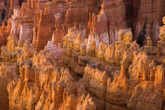 Bryce Canyon, Sunset Point