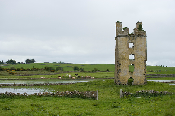 Ruin, Co. Roscommon
