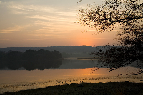 Ranthambore Dawn